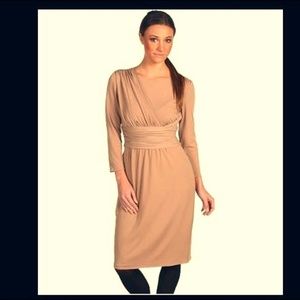 *BRAND NEW* Tahari Fanny Ruched Jersey Dress - 2